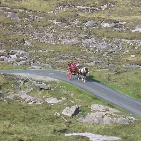 Bed and Breakfast Friary View Bed & Breakfast 3*