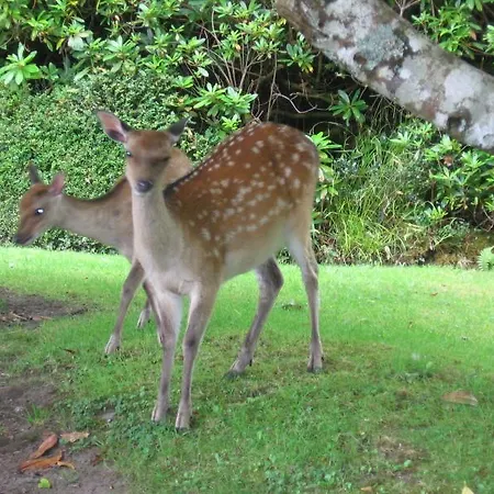 Bed and Breakfast Friary View Bed & Breakfast
