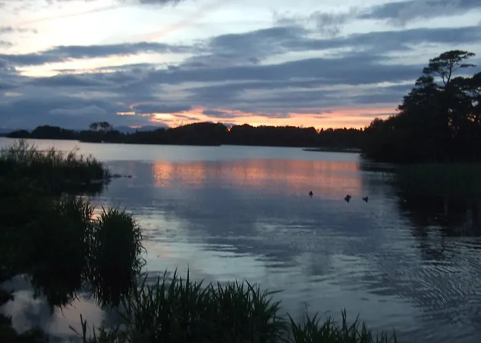 住宿加早餐酒店 Friary View 基拉尼