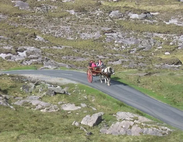 Bed & Breakfast Friary View 3*